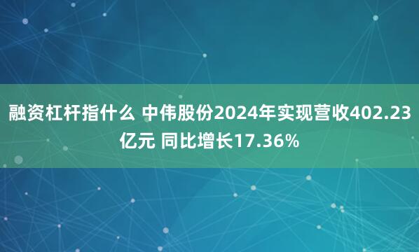 融资杠杆指什么 中伟股份2024年实现营收402.23亿元 同比增长17.36%