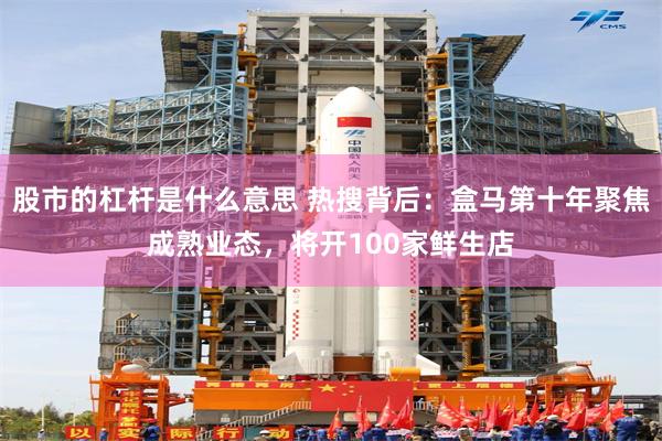 股市的杠杆是什么意思 热搜背后：盒马第十年聚焦成熟业态，将开100家鲜生店