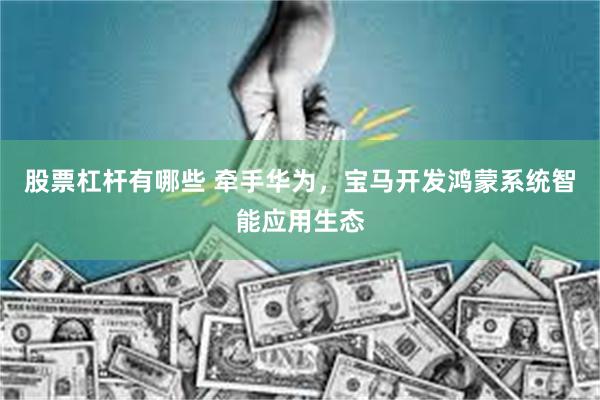 股票杠杆有哪些 牵手华为，宝马开发鸿蒙系统智能应用生态