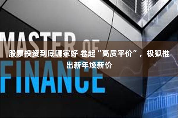 股票投资到底哪家好 卷起“高质平价”，极狐推出新年焕新价