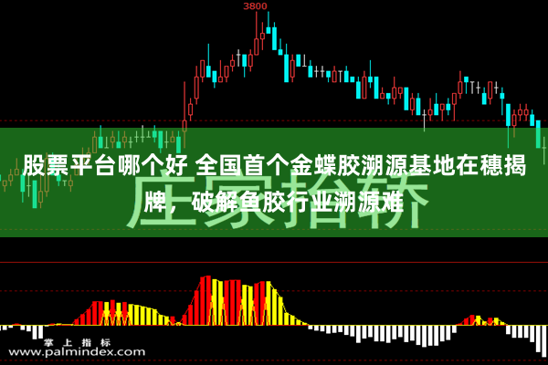 股票平台哪个好 全国首个金蝶胶溯源基地在穗揭牌，破解鱼胶行业溯源难