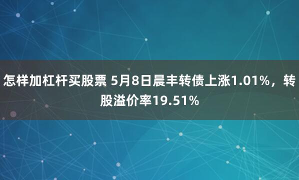 怎样加杠杆买股票 5月8日晨丰转债上涨1.01%，转股溢价率19.51%