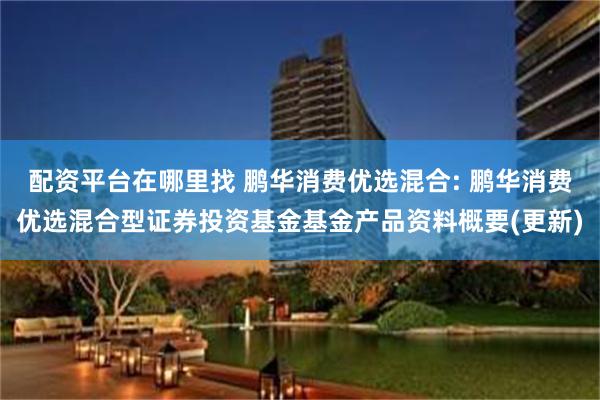 配资平台在哪里找 鹏华消费优选混合: 鹏华消费优选混合型证券投资基金基金产品资料概要(更新)