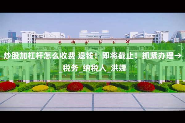 炒股加杠杆怎么收费 退钱！即将截止！抓紧办理→_税务_纳税人_洪娜