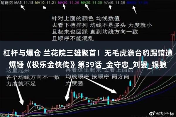 杠杆与爆仓 兰花院三雄聚首！无毛虎澹台豹踢馆遭爆锤《极乐金侠传》第39话_金守忠_刘婆_银狼