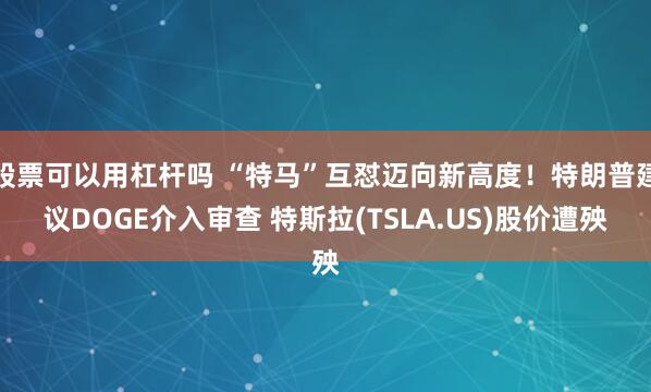 股票可以用杠杆吗 “特马”互怼迈向新高度！特朗普建议DOGE介入审查 特斯拉(TSLA.US)股价遭殃