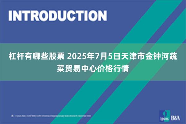 杠杆有哪些股票 2025年7月5日天津市金钟河蔬菜贸易中心价格行情