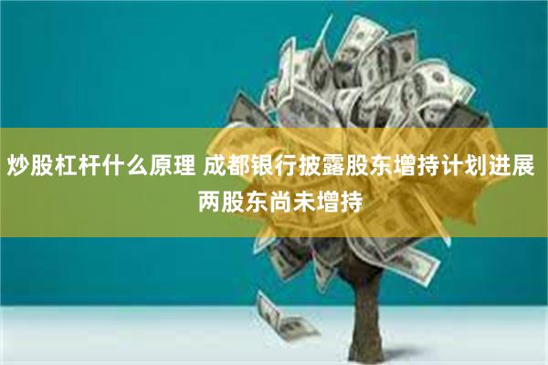 炒股杠杆什么原理 成都银行披露股东增持计划进展   两股东尚未增持