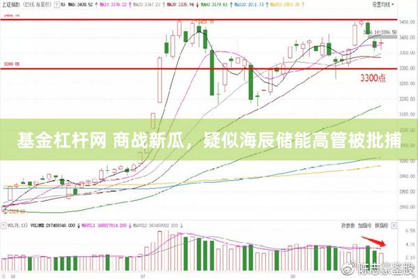 基金杠杆网 商战新瓜，疑似海辰储能高管被批捕