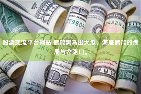 股票交流平台网站 储能黑马出大瓜，海辰储能的危局与岔路口。