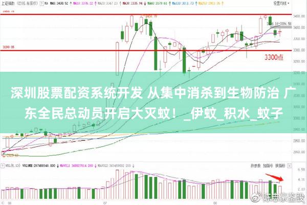 深圳股票配资系统开发 从集中消杀到生物防治 广东全民总动员开启大灭蚊！_伊蚊_积水_蚊子