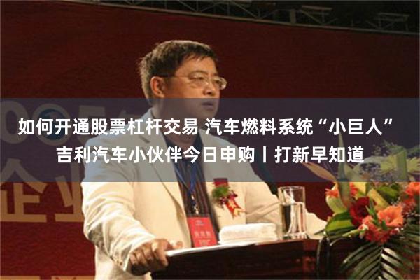 如何开通股票杠杆交易 汽车燃料系统“小巨人” 吉利汽车小伙伴今日申购丨打新早知道