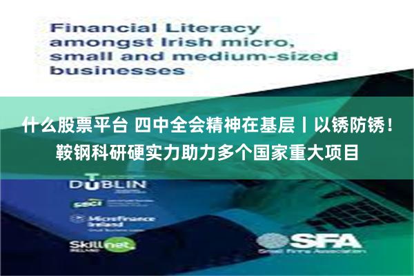 什么股票平台 四中全会精神在基层丨以锈防锈！鞍钢科研硬实力助力多个国家重大项目
