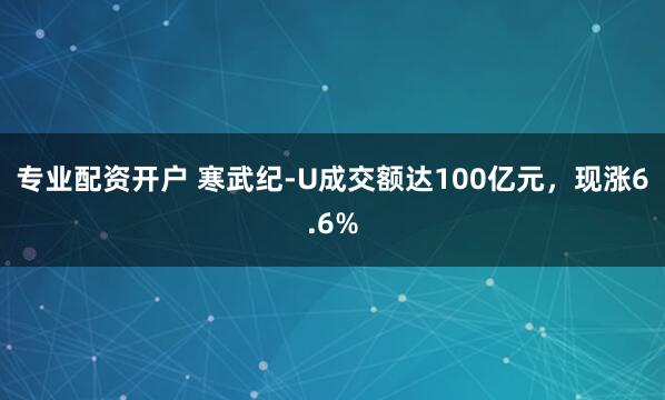 专业配资开户 寒武纪-U成交额达100亿元，现涨6.6%